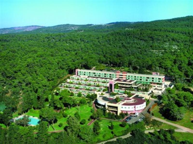 מלון אחוזת יערות הכרמל