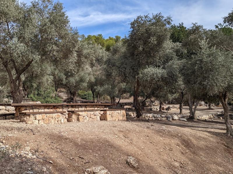 חניון הזיתים ביער אשתאול